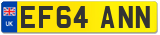 EF64 ANN