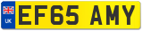 EF65 AMY