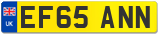 EF65 ANN