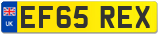 EF65 REX