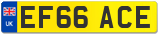 EF66 ACE