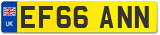 EF66 ANN