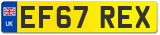 EF67 REX