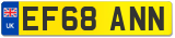 EF68 ANN