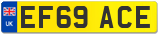 EF69 ACE