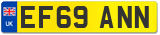 EF69 ANN