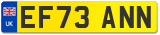 EF73 ANN