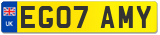 EG07 AMY