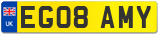 EG08 AMY