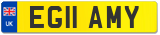 EG11 AMY