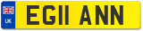 EG11 ANN