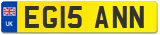 EG15 ANN