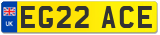 EG22 ACE