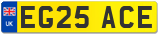 EG25 ACE