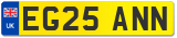 EG25 ANN