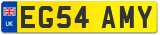 EG54 AMY