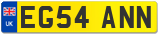 EG54 ANN