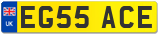 EG55 ACE
