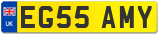 EG55 AMY