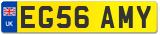 EG56 AMY