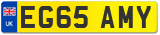 EG65 AMY