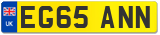 EG65 ANN