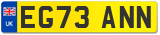 EG73 ANN