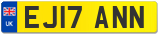 EJ17 ANN