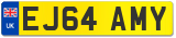 EJ64 AMY