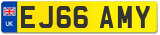 EJ66 AMY