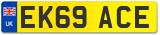 EK69 ACE