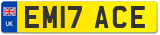 EM17 ACE