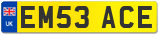 EM53 ACE