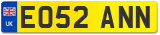 EO52 ANN