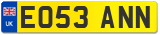 EO53 ANN