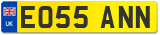 EO55 ANN