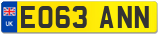 EO63 ANN