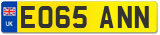 EO65 ANN