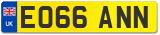 EO66 ANN