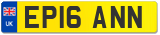 EP16 ANN