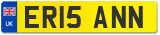 ER15 ANN