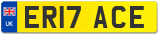 ER17 ACE