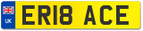 ER18 ACE