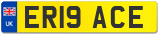 ER19 ACE