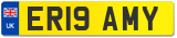ER19 AMY