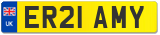 ER21 AMY