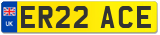 ER22 ACE