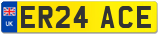 ER24 ACE