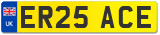 ER25 ACE