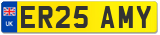 ER25 AMY